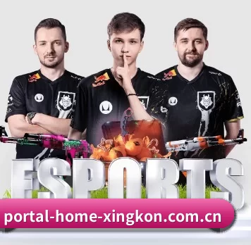 portal-home-xingkon.com.cn APP（xingkong）